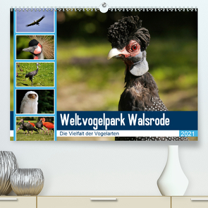 Weltvogelpark Walsrode – Die Vielfalt der Vogelarten (Premium, hochwertiger DIN A2 Wandkalender 2021, Kunstdruck in Hochglanz) von Gayde Quelle: Weltvogelpark Walsrode,  Frank