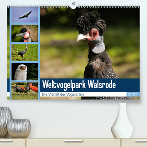Weltvogelpark Walsrode – Die Vielfalt der Vogelarten (Premium, hochwertiger DIN A2 Wandkalender 2022, Kunstdruck in Hochglanz) von Gayde Quelle: Weltvogelpark Walsrode,  Frank