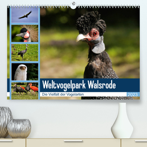 Weltvogelpark Walsrode – Die Vielfalt der Vogelarten (Premium, hochwertiger DIN A2 Wandkalender 2023, Kunstdruck in Hochglanz) von Gayde Quelle: Weltvogelpark Walsrode,  Frank