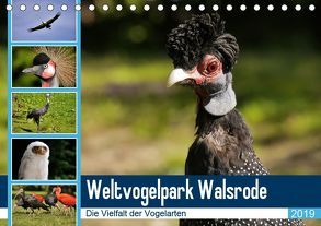 Weltvogelpark Walsrode – Die Vielfalt der Vogelarten (Tischkalender 2019 DIN A5 quer) von Gayde Quelle: Weltvogelpark Walsrode,  Frank