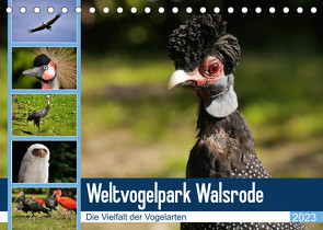 Weltvogelpark Walsrode – Die Vielfalt der Vogelarten (Tischkalender 2023 DIN A5 quer) von Gayde Quelle: Weltvogelpark Walsrode,  Frank