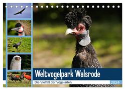 Weltvogelpark Walsrode – Die Vielfalt der Vogelarten (Tischkalender 2024 DIN A5 quer), CALVENDO Monatskalender von Gayde Quelle: Weltvogelpark Walsrode,  Frank