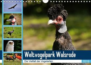 Weltvogelpark Walsrode – Die Vielfalt der Vogelarten (Wandkalender 2019 DIN A4 quer) von Gayde Quelle: Weltvogelpark Walsrode,  Frank