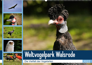 Weltvogelpark Walsrode – Die Vielfalt der Vogelarten (Wandkalender 2022 DIN A2 quer) von Gayde Quelle: Weltvogelpark Walsrode,  Frank