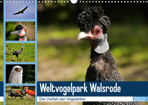 Weltvogelpark Walsrode – Die Vielfalt der Vogelarten (Wandkalender 2022 DIN A3 quer) von Gayde Quelle: Weltvogelpark Walsrode,  Frank