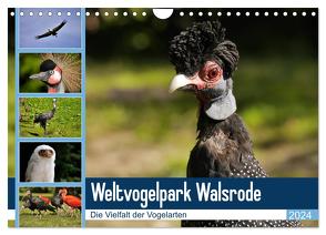 Weltvogelpark Walsrode – Die Vielfalt der Vogelarten (Wandkalender 2024 DIN A4 quer), CALVENDO Monatskalender von Gayde Quelle: Weltvogelpark Walsrode,  Frank