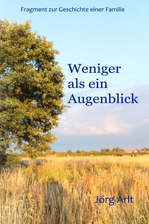 Weniger als ein Augenblick von Arlt,  Jörg