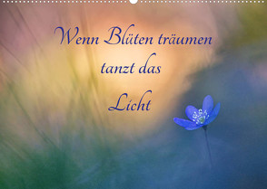 Wenn Blüten träumen tanzt das Licht (Wandkalender 2023 DIN A2 quer) von Berger (Kabefa),  Karin