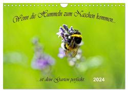 Wenn die Hummeln zum naschen kommen, ist dein Garten perfekt (Wandkalender 2024 DIN A4 quer), CALVENDO Monatskalender von Junghanns,  Konstanze