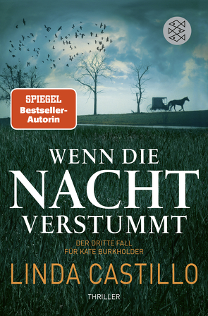 Wenn die Nacht verstummt von Augustin,  Helga, Castillo,  Linda