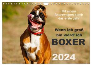 Wenn ich groß bin werd‘ ich Boxer (Wandkalender 2024 DIN A4 quer), CALVENDO Monatskalender von Mielke,  Kerstin