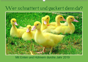 Wer gackert und schnattert denn da? Mit Enten und Hühnern durchs Jahr (Wandkalender 2019 DIN A2 quer) von Löwer,  Sabine