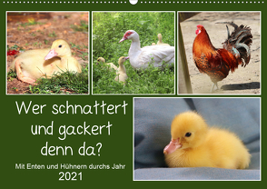 Wer gackert und schnattert denn da? Mit Enten und Hühnern durchs Jahr (Wandkalender 2021 DIN A2 quer) von Löwer,  Sabine