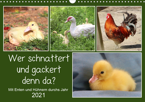 Wer gackert und schnattert denn da? Mit Enten und Hühnern durchs Jahr (Wandkalender 2021 DIN A3 quer) von Löwer,  Sabine