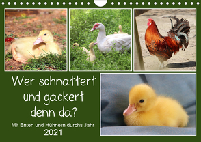 Wer gackert und schnattert denn da? Mit Enten und Hühnern durchs Jahr (Wandkalender 2021 DIN A4 quer) von Löwer,  Sabine