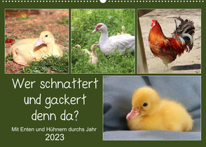 Wer gackert und schnattert denn da? Mit Enten und Hühnern durchs Jahr (Wandkalender 2023 DIN A2 quer) von Löwer,  Sabine
