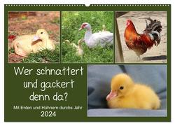 Wer gackert und schnattert denn da? Mit Enten und Hühnern durchs Jahr (Wandkalender 2024 DIN A2 quer), CALVENDO Monatskalender von Löwer,  Sabine