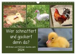 Wer gackert und schnattert denn da? Mit Enten und Hühnern durchs Jahr (Wandkalender 2024 DIN A3 quer), CALVENDO Monatskalender von Löwer,  Sabine