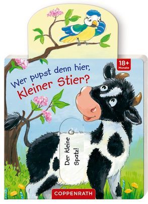 Wer pupst denn hier, kleiner Stier? von Flad,  Antje, Taube,  Anna