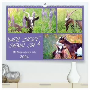 Wer zickt denn da? Mit Ziegen durchs Jahr (hochwertiger Premium Wandkalender 2024 DIN A2 quer), Kunstdruck in Hochglanz von Löwer,  Sabine
