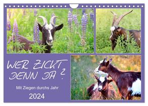 Wer zickt denn da? Mit Ziegen durchs Jahr (Wandkalender 2024 DIN A4 quer), CALVENDO Monatskalender von Löwer,  Sabine