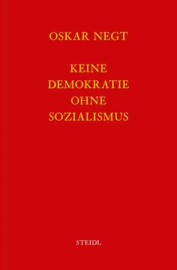 Werkausgabe Bd. 5 / Keine Demokratie ohne Sozialismus von Negt,  Oskar