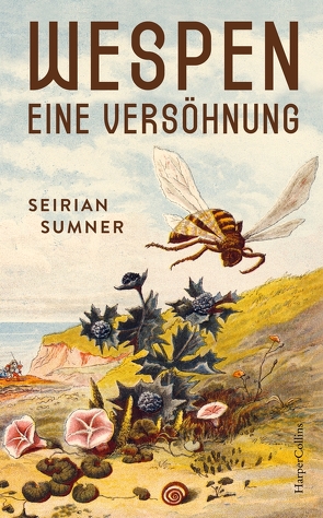 Wespen – Eine Versöhnung von Schmittmann,  Andrea, Sumner,  Seirian