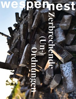 wespennest – zeitschrift für brauchbare texte und bilder von Roedig,  Andrea, Zederbauer,  Andrea