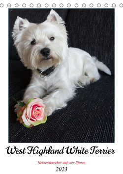 West Highland White Terrier – Herzensbrecher auf vier Pfoten (Tischkalender 2023 DIN A5 hoch) von Rohde,  Angela