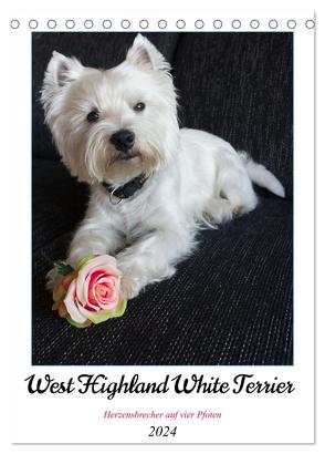 West Highland White Terrier – Herzensbrecher auf vier Pfoten (Tischkalender 2024 DIN A5 hoch), CALVENDO Monatskalender von Rohde,  Angela