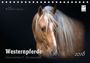Westernpferde – Faszination und Leidenschaft (Tischkalender 2018 DIN A5 quer) von Wrede,  Martina