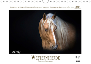 Westernpferde – Faszination und Leidenschaft (Wandkalender 2019 DIN A4 quer) von Wrede,  Martina