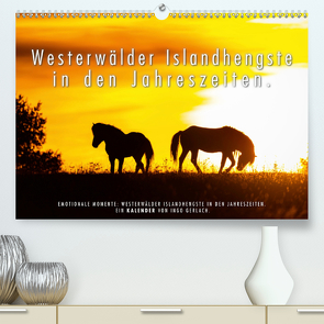 Westerwälder Islandhengste in den Jahreszeiten. (Premium, hochwertiger DIN A2 Wandkalender 2020, Kunstdruck in Hochglanz) von Gerlach,  Ingo