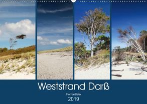Weststrand Darß (Wandkalender 2019 DIN A2 quer) von Deter,  Thomas