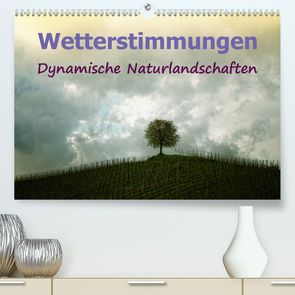 Wetterstimmungen. Dynamische Naturlandschaften (Premium, hochwertiger DIN A2 Wandkalender 2020, Kunstdruck in Hochglanz) von Brunner-Klaus,  Liselotte