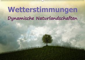 Wetterstimmungen. Dynamische Naturlandschaften (Wandkalender 2019 DIN A2 quer) von Brunner-Klaus,  Liselotte