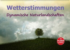 Wetterstimmungen. Dynamische Naturlandschaften (Wandkalender 2019 DIN A2 quer) von Brunner-Klaus,  Liselotte