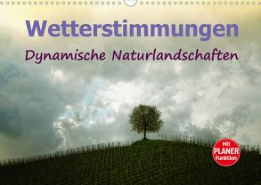 Wetterstimmungen. Dynamische Naturlandschaften (Wandkalender 2020 DIN A3 quer) von Brunner-Klaus,  Liselotte