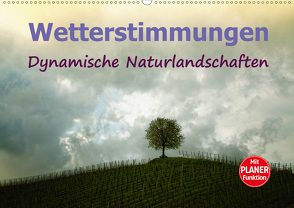 Wetterstimmungen. Dynamische Naturlandschaften (Wandkalender 2021 DIN A2 quer) von Brunner-Klaus,  Liselotte