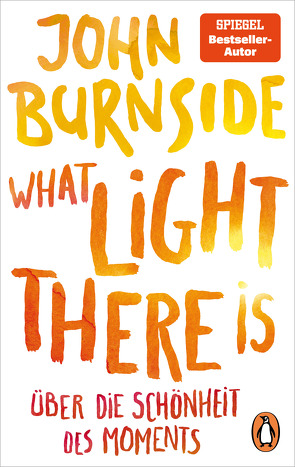 What light there is – Über die Schönheit des Moments von Burnside,  John, Robben,  Bernhard