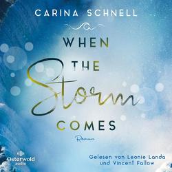 When the Storm Comes (Sommer in Kanada 1) von Fallow,  Vincent, Landa,  Leonie, Schnell,  Carina