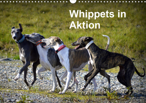 Whippets in AktionAT-Version (Wandkalender 2020 DIN A3 quer) von Redl,  Ula