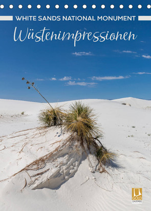 WHITE SANDS NATIONAL MONUMENT Wüstenimpressionen (Tischkalender 2023 DIN A5 hoch) von Viola,  Melanie