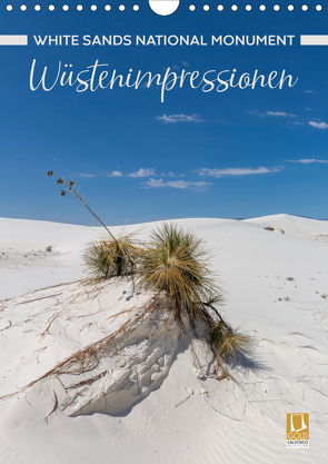 WHITE SANDS NATIONAL MONUMENT Wüstenimpressionen (Wandkalender 2021 DIN A4 hoch) von Viola,  Melanie