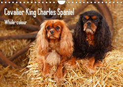 Whole-colour Cavalier King Charles Spaniel (Wandkalender 2023 DIN A4 quer) von Wegner,  Petra