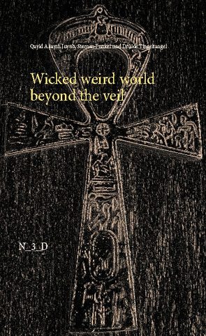 Wicked weird world beyond the veil von Funkel,  Sternen, Juyub,  Qayid Aljaysh, Tingeltangel,  Druide