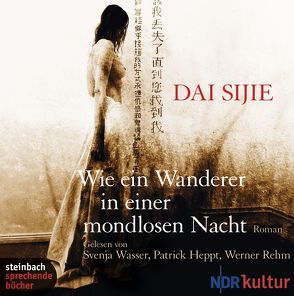 Wie ein Wanderer in einer mondlosen Nacht von Dai Sijie, Huppt,  Patrick, Rehm,  Werner, Wasser,  Svenja