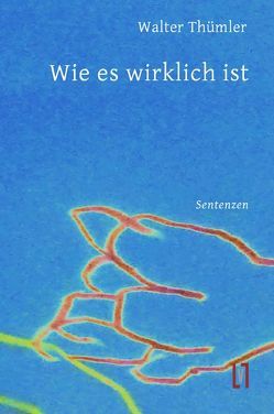 Wie es wirklich ist von Thümler,  Walter