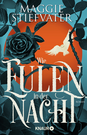 Wie Eulen in der Nacht von Stiefvater,  Maggie, Volk,  Katharina