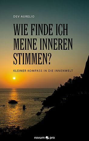 Wie finde ich meine inneren Stimmen? von Aurelio,  Dev